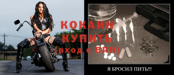 ECSTASY Богданович